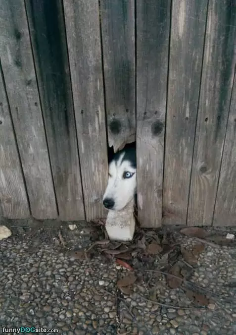I Can See The World From Here