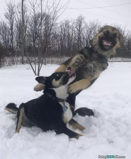 Jumping Off