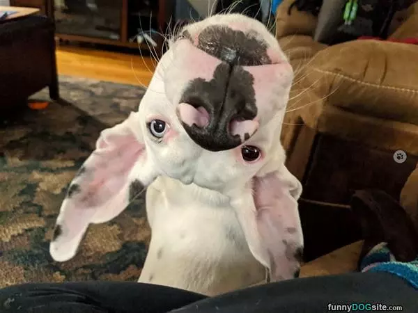 Upside Down