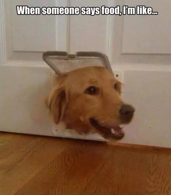 When Someone Says Food