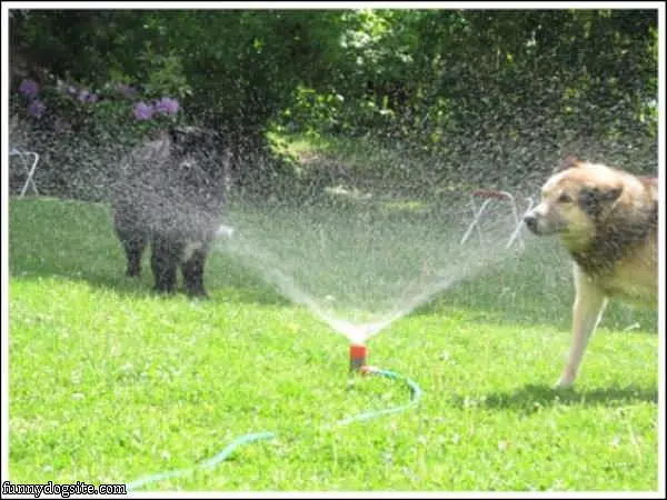 Doing Some Cooling Off