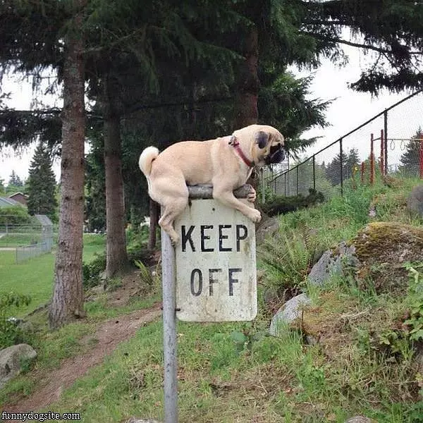 Keep Off