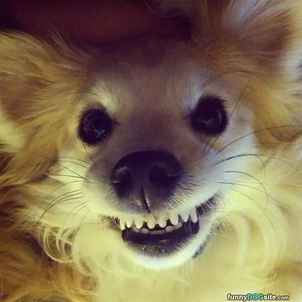 Give It A Big Smile