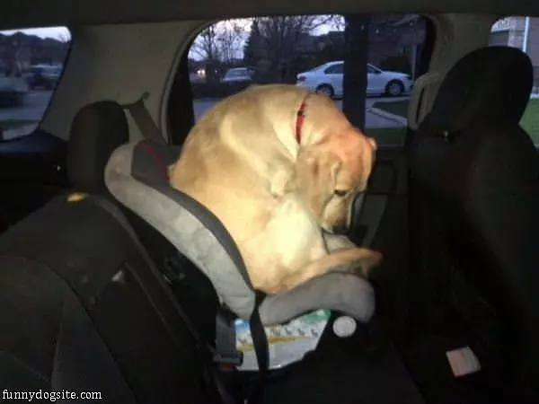I Fits I Sits