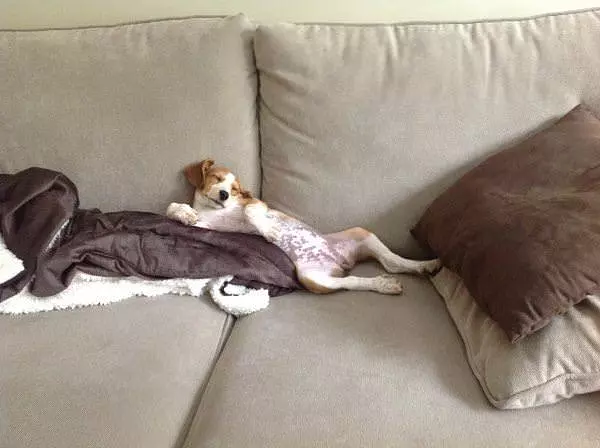 So Sleepy Today