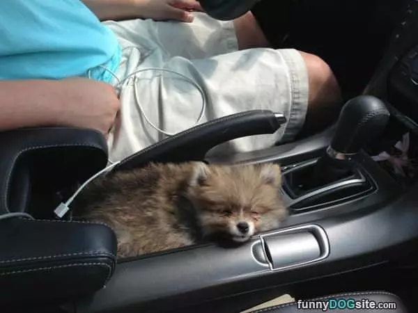 My Cup Holder
