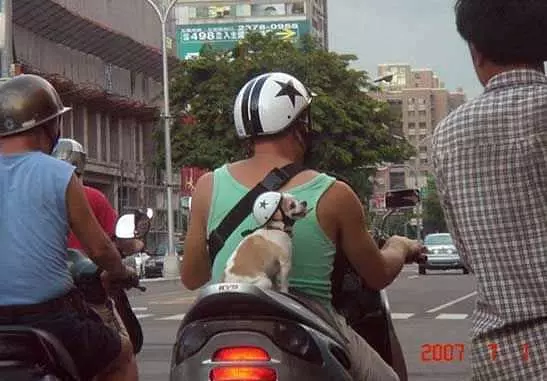 Bike Ride
