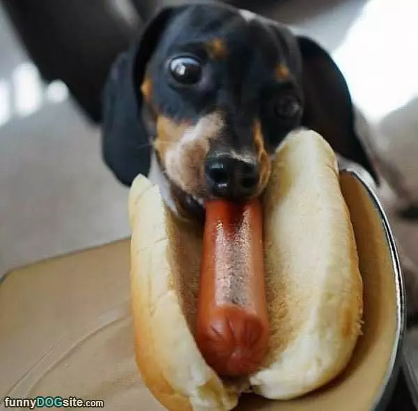 Found Some Lunch