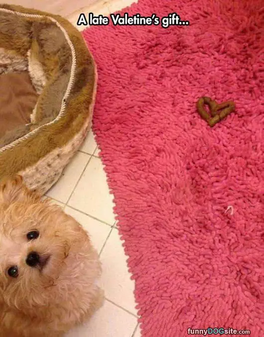 Valentines Gift
