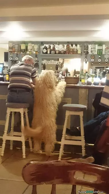 Had A Ruff Day