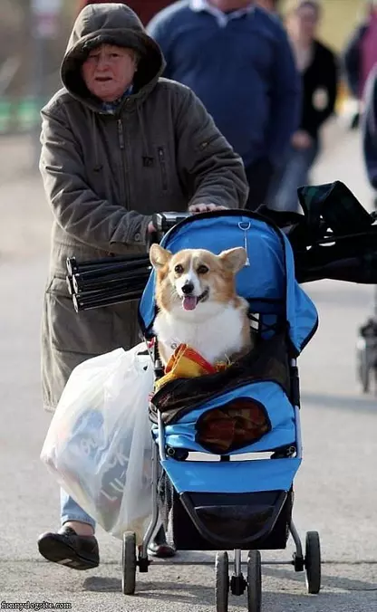 Getting Pushed Around