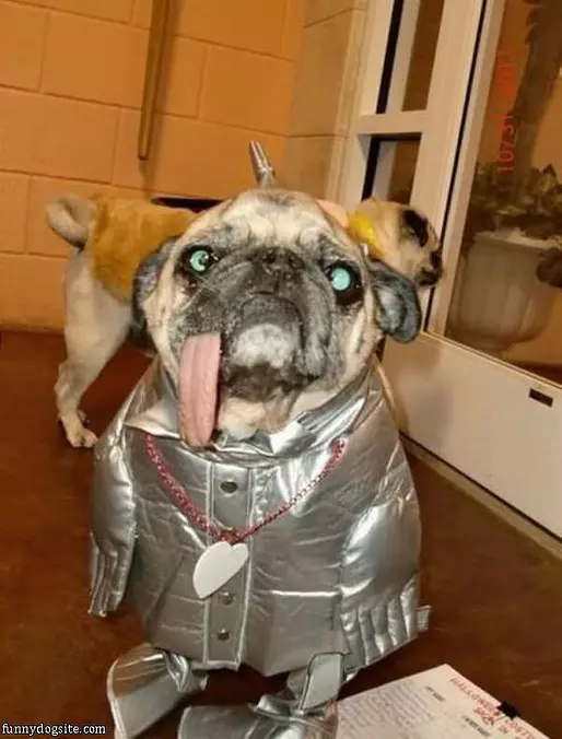 Warm With My Coat On