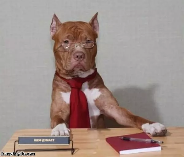 Teacher