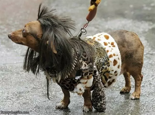 Spikey Hair
