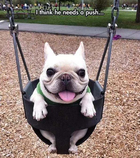 Needs A Push