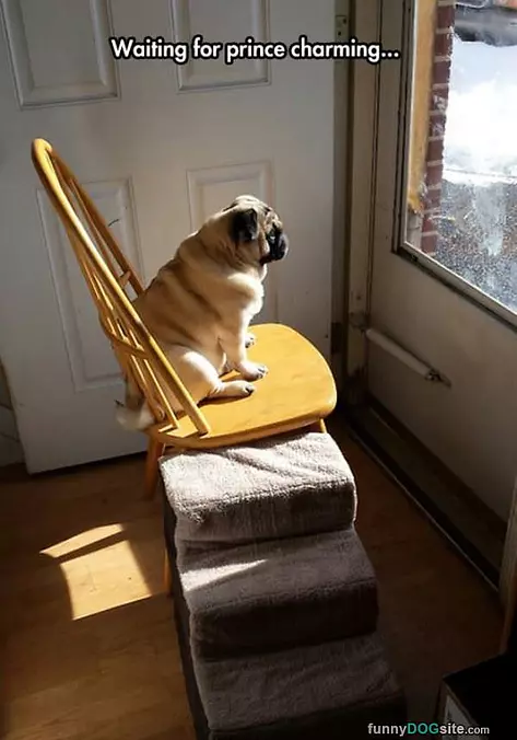 Sitting And Waiting