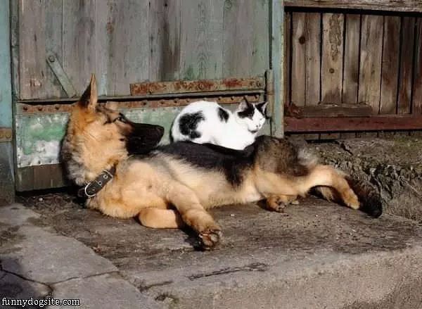 Hey Get Off Man