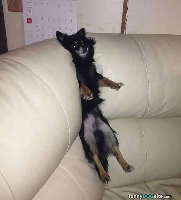 Hanging In The Couch