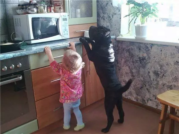 Working Together