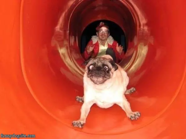 The Crazy Slide