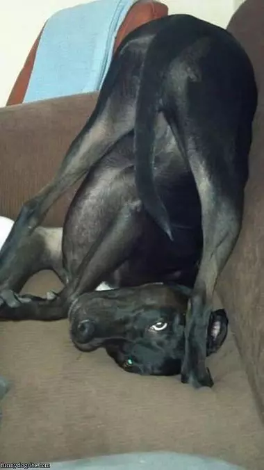 Posing For The Pic