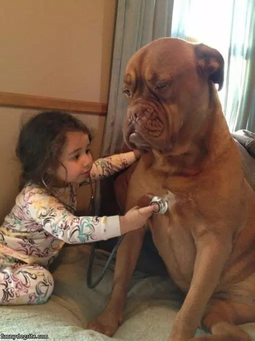 Let Me Take A Look