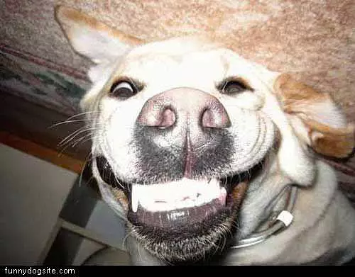 Huge Smile