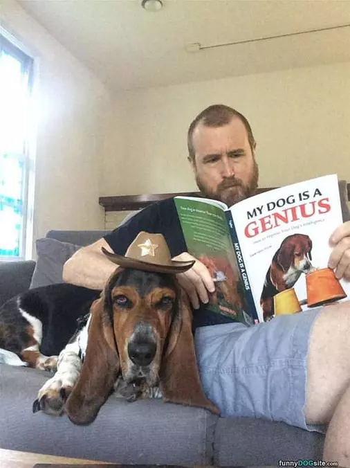 My Dog Is A Genius