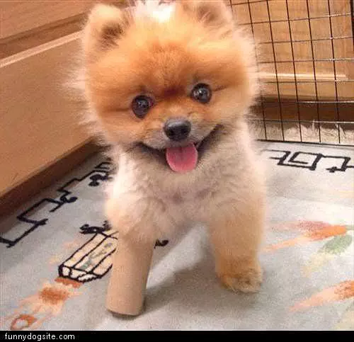 Toilet Paper Roll Leg