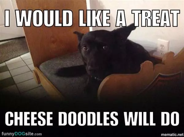 I Would Like A Treat
