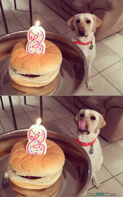 I Want My Cake