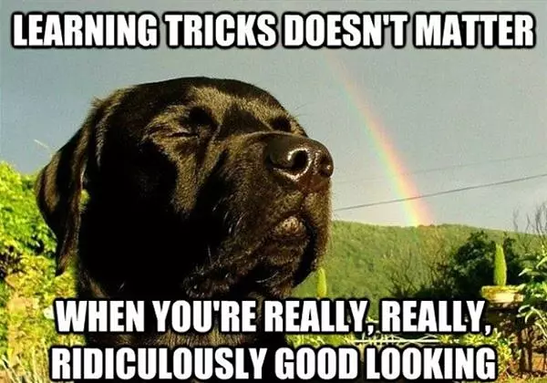Learning The Tricks