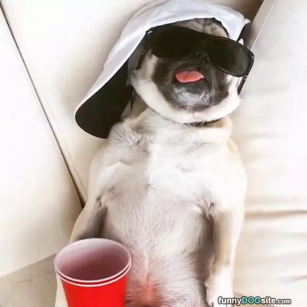 The Thug Life