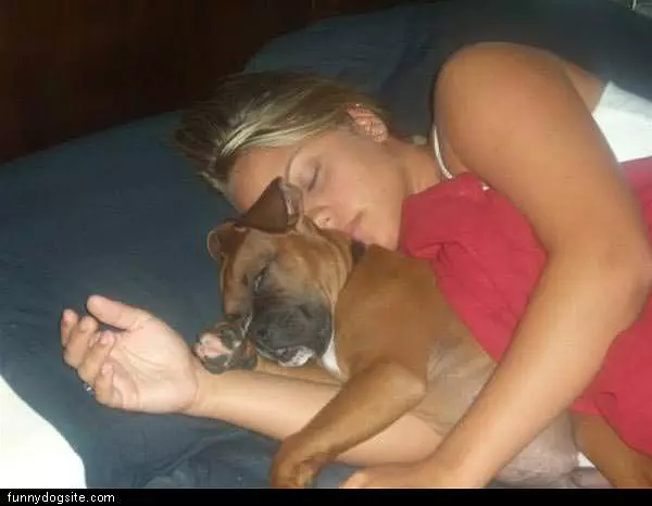 Dog Sleep Time