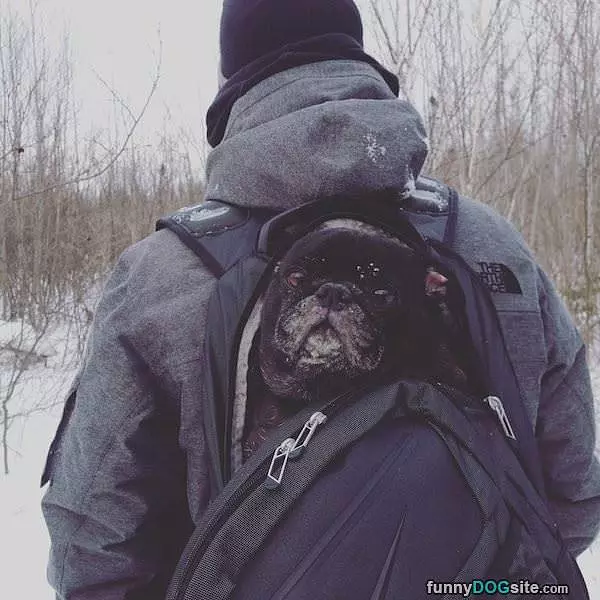 Backpacking Is Fun