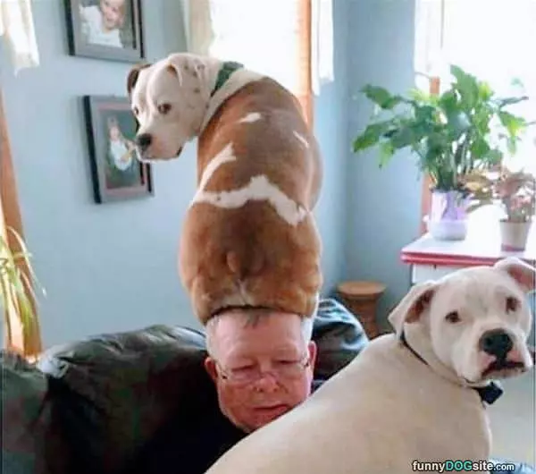 Nice Hat