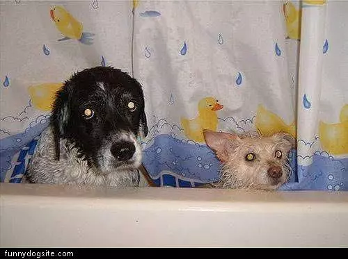 Bath Time