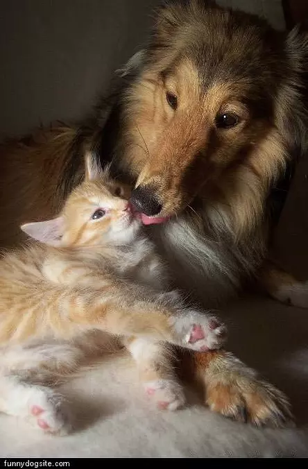 Friends