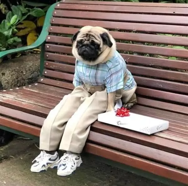 Just Having A Lazy Day