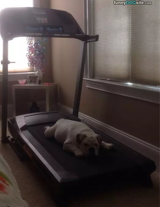 Nice Bed