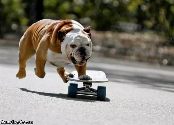 Doing Some Skateboarding