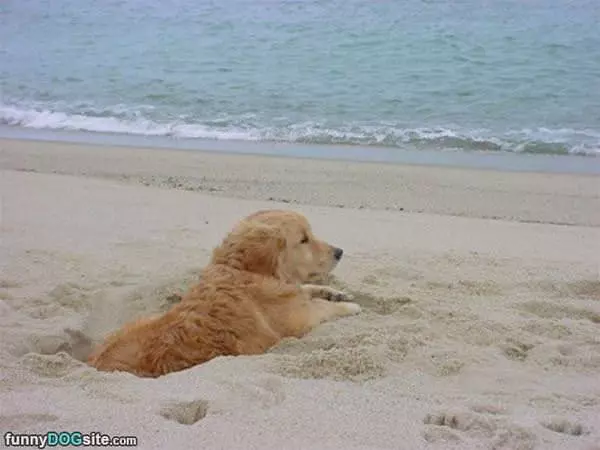 Chillin In The Beach