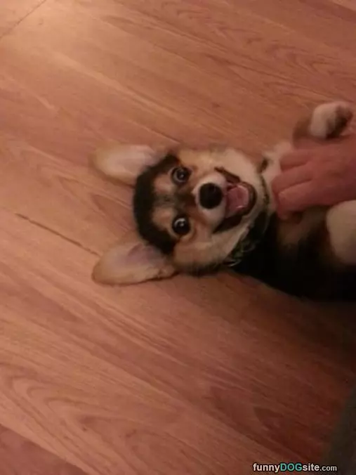 I Am So Happy To Be Tickled