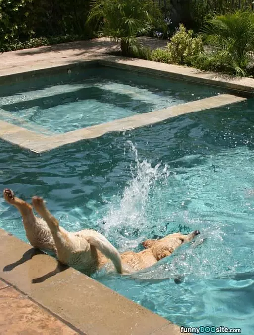 Rolling Into The Pool