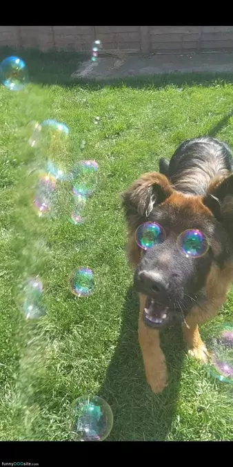 Bubble Eyes