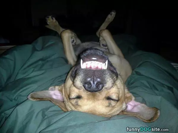 Cheeeeser