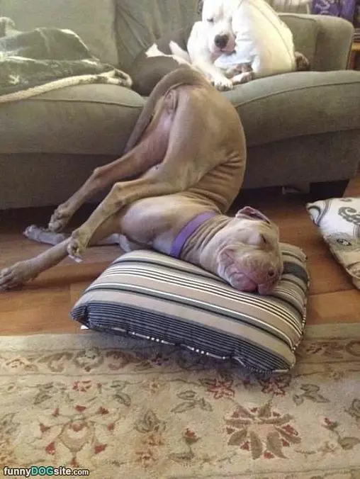 I Am So Sleepy