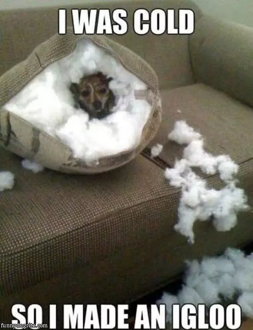 It Was Cold
