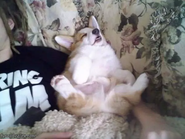 Very Relaxed