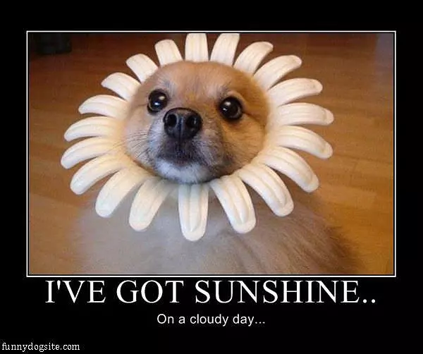 Ive Got Sunshine